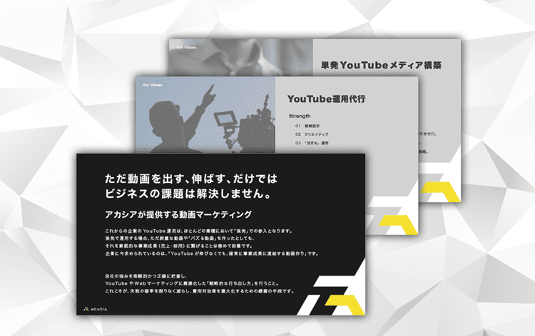 株式会社アカシアの事業概要紹介