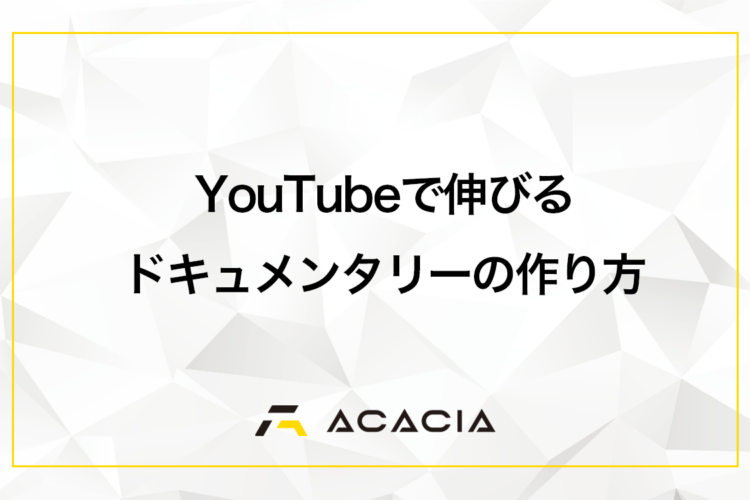 YouTubeで伸びるドキュメンタリーの作り方！企画と撮影のコツ